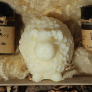 The Peeping Sheep Gift Set